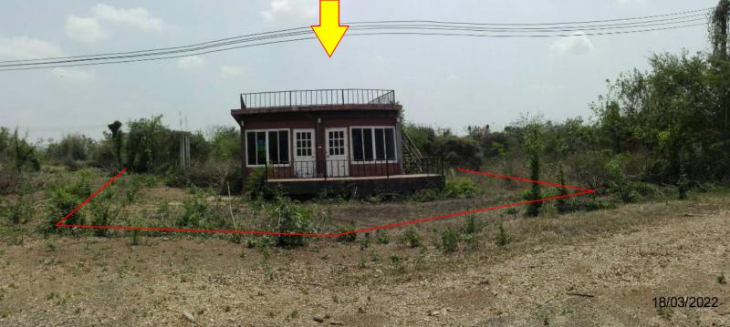 ที่ดินพร้อมสิ่งปลูกสร้างหลุดจำนอง ธ.ธนาคารกรุงไทย เพชรบูรณ์ เมืองเพชรบูรณ์ นางั่ว