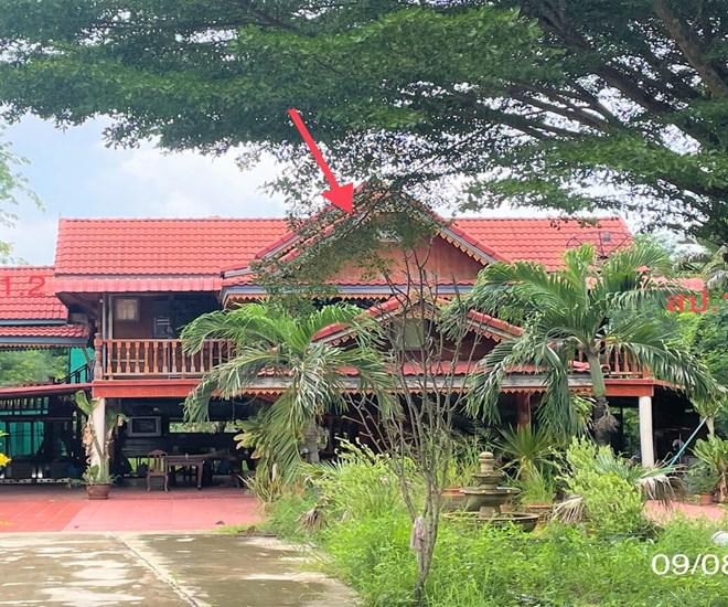 บ้านเดี่ยวหลุดจำนอง ธ.ธนาคารกสิกรไทย เพชรบูรณ์ เมืองเพชรบูรณ์ ชอนไพร
