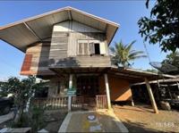 บ้านเดี่ยวหลุดจำนอง ธ.ธนาคารกสิกรไทย เพชรบูรณ์ หล่มสัก บุ่งคล้า